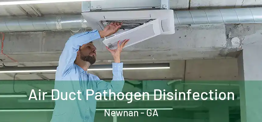  Air Duct Pathogen Disinfection Newnan - GA