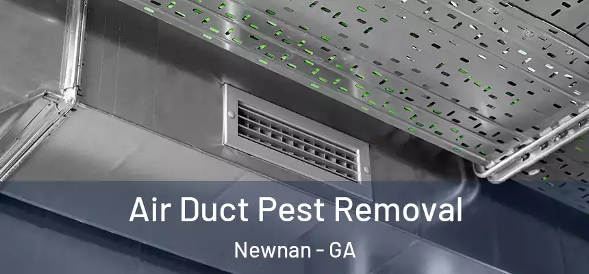 Air Duct Pest Removal Newnan - GA