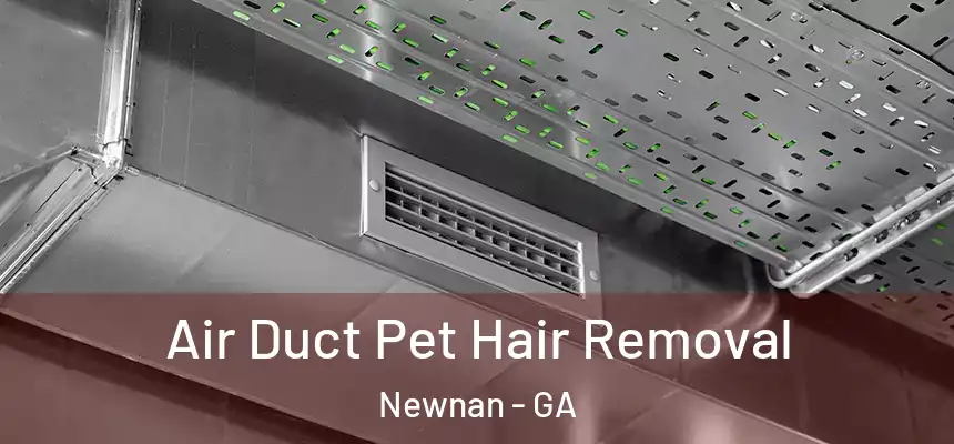 Air Duct Pet Hair Removal Newnan - GA