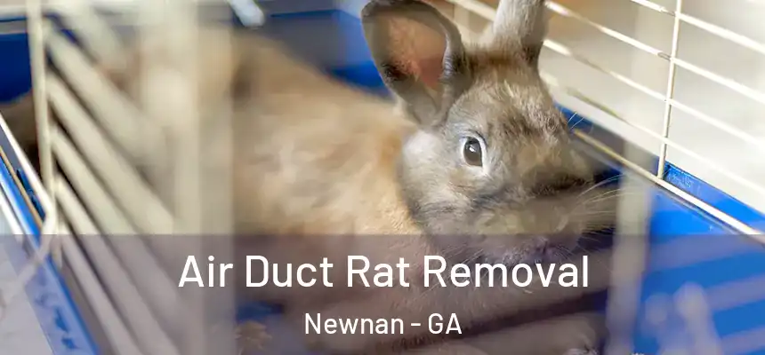 Air Duct Rat Removal Newnan - GA