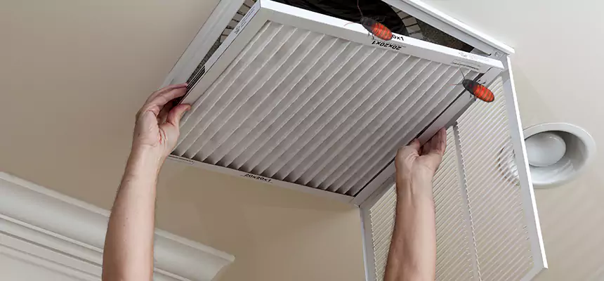 Preventive Cockroach-Proofing for Ducts in Newnan