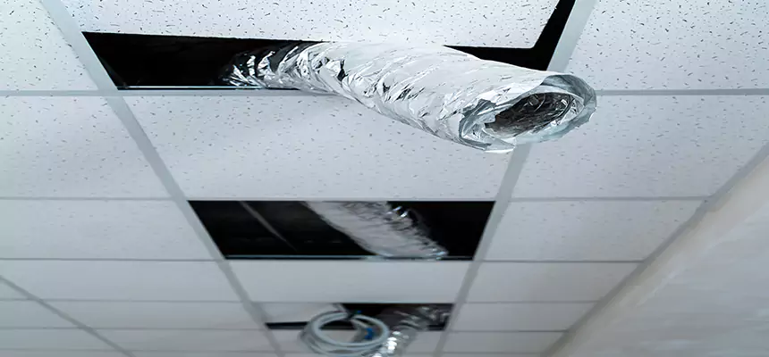 Our Air Duct Pet Hair Removal Services in Newnan, GA