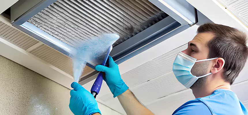 Proactive Dryer Vent & Auxiliary Duct Pollen Cleanup in Newnan, GA