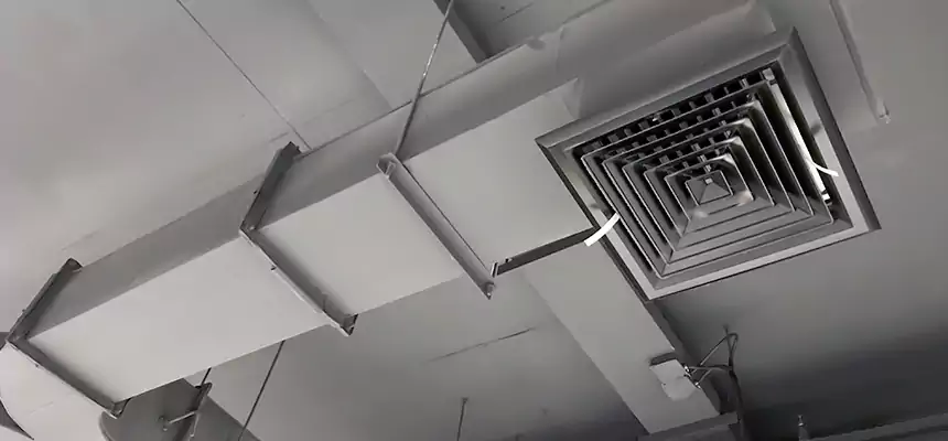 Restorative Allergy Relief Vent Cleaning – Coil, Blower & Housing Detail in Newnan