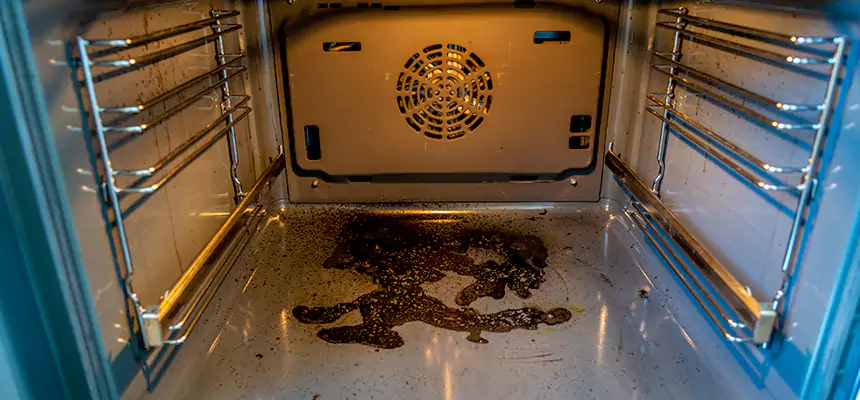 Our Dryer Vent Mold Cleaning Services in Newnan, GA