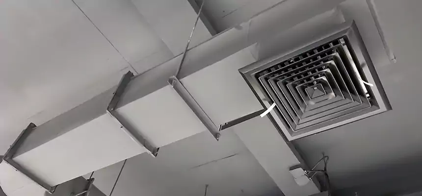 Our Pest Removal From Ducts Services in Newnan, GA