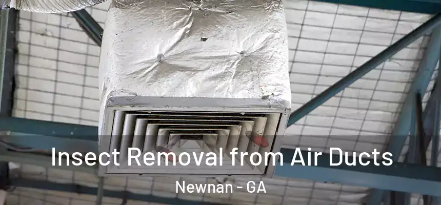 Insect Removal from Air Ducts Newnan - GA