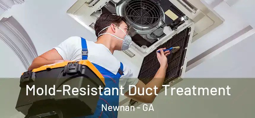  Mold-Resistant Duct Treatment Newnan - GA