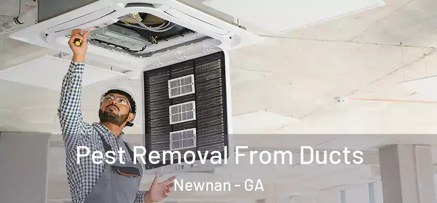  Pest Removal From Ducts Newnan - GA