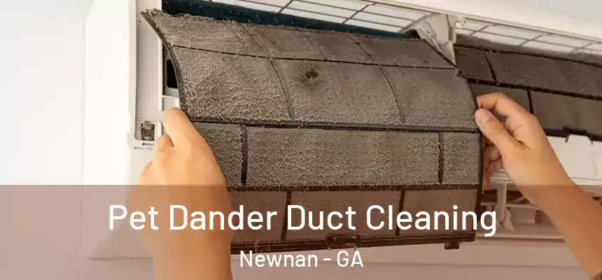 Pet Dander Duct Cleaning Newnan - GA