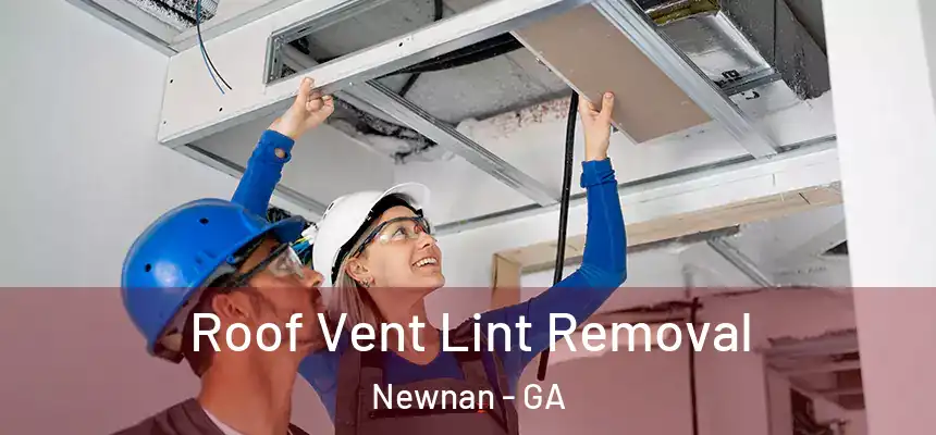  Roof Vent Lint Removal Newnan - GA