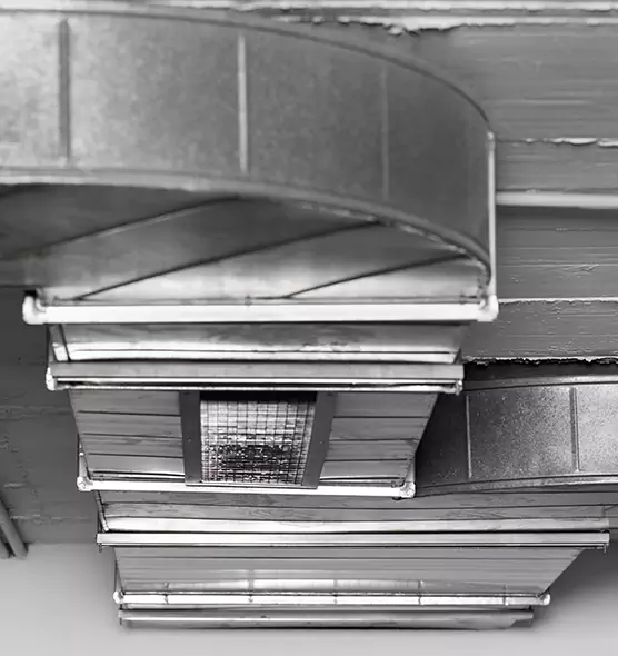 Professional Air Duct Pest Removal in Newnan, GA