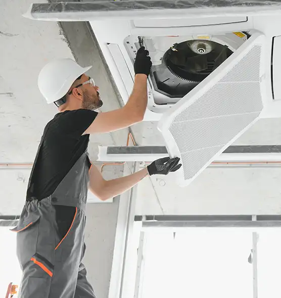 About Air Duct Rodent Removal in Newnan, GA