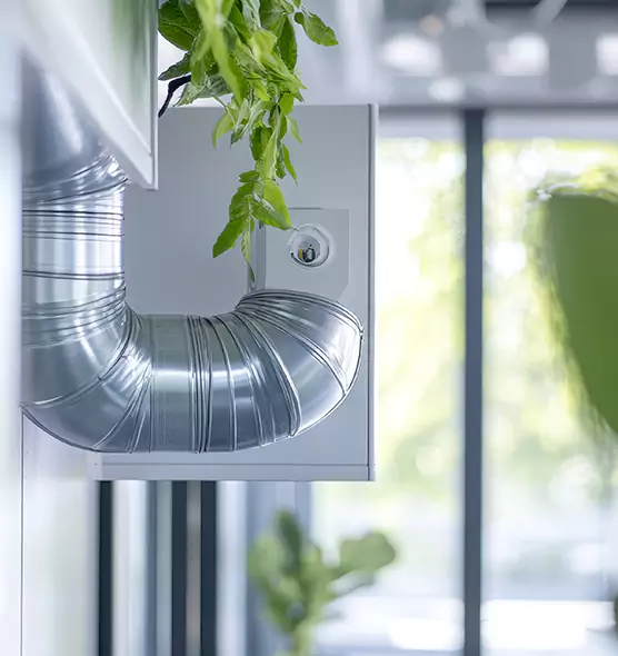 Professional Eco-Friendly Duct Cleaning Services in Newnan, GA