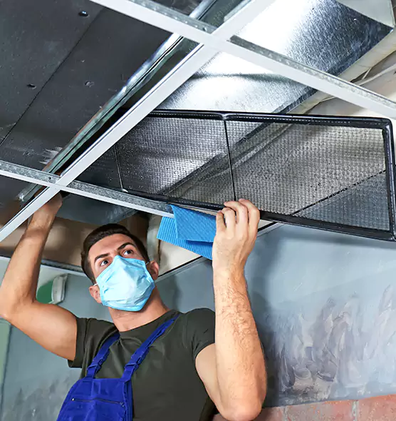 Professional Home Ventilation Cleaning in Newnan, GA