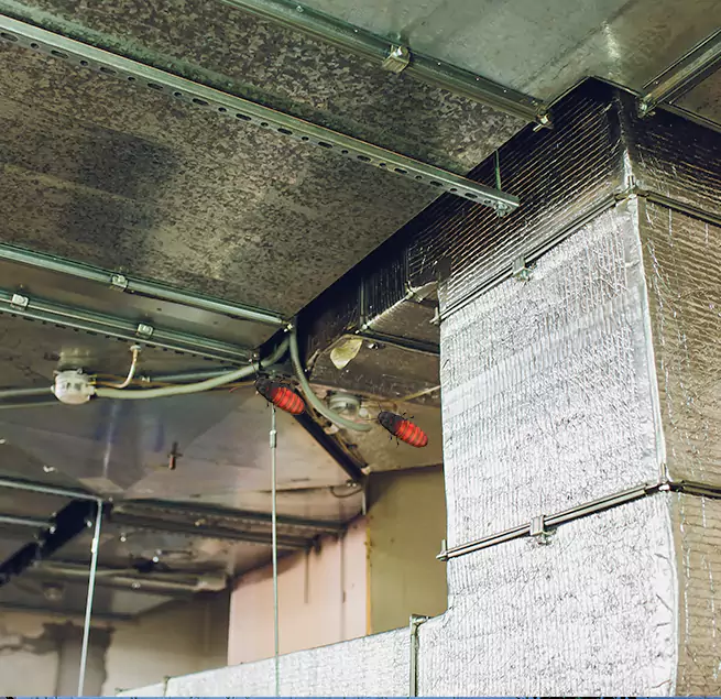 Why Homeowners & Businesses Trust Us in Newnan, GA?