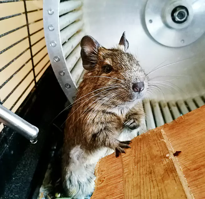 Why Homeowners & Businesses Trust Us Newnan, GA