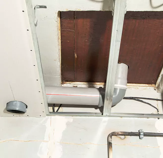 Why Homeowners & Businesses Trust Us in Newnan, GA?