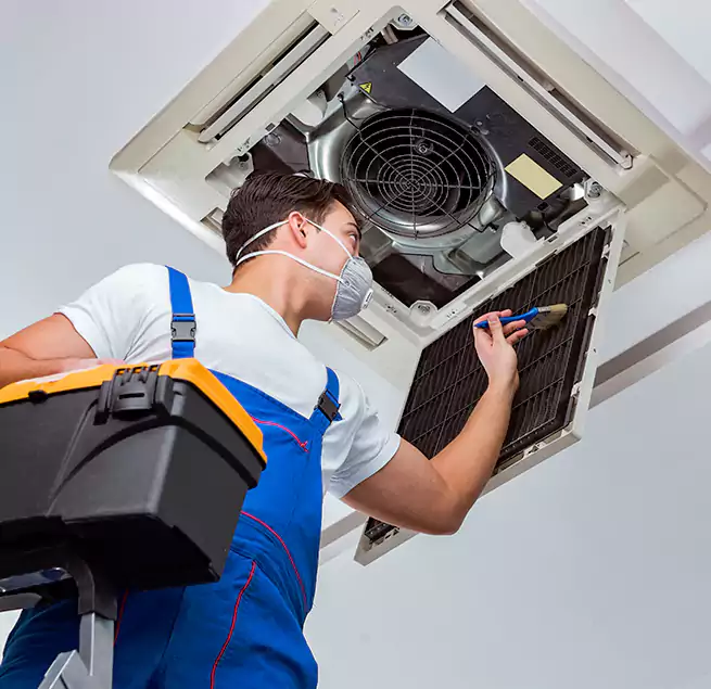 Why Homeowners & Businesses Trust Us in Newnan, GA