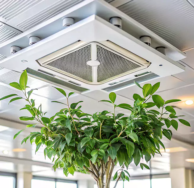 Why Homeowners & Businesses Trust Us in Newnan, GA