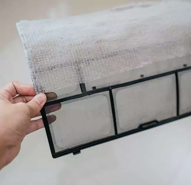 Why Homeowners & Businesses Trust Us in Newnan, GA?