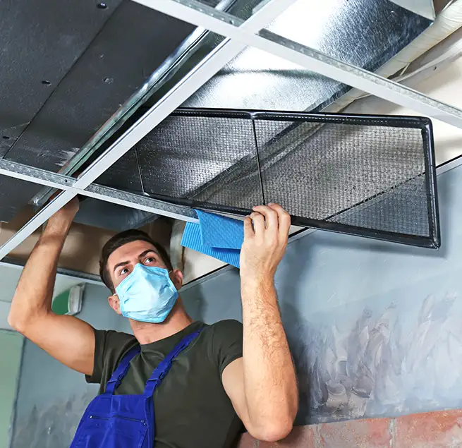 Why Homeowners & Businesses Trust Us in Newnan, GA?