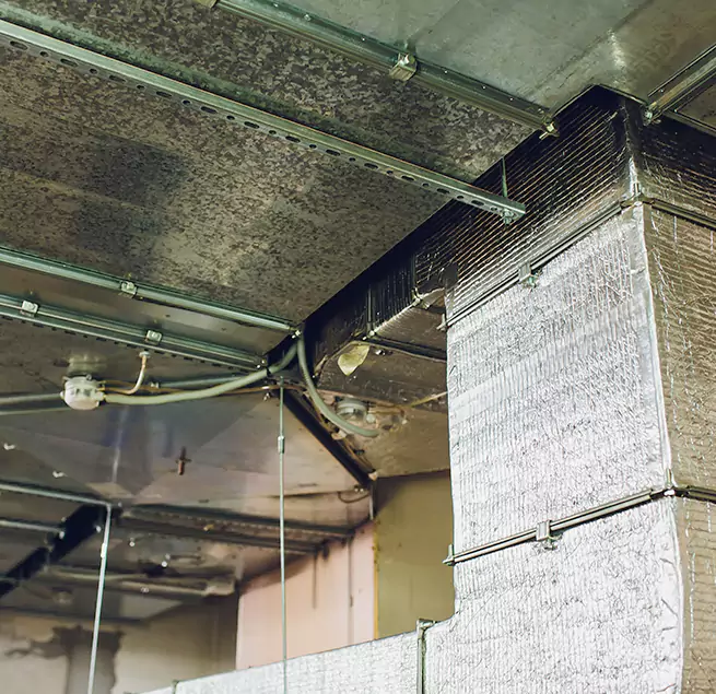 Why Homeowners & Businesses Trust Us in Newnan, GA?